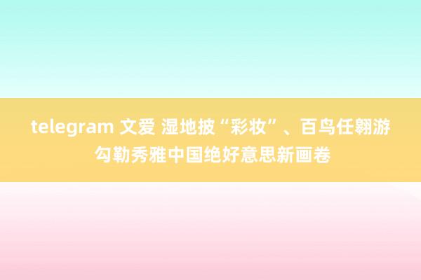 telegram 文爱 湿地披“彩妆”、百鸟任翱游 勾勒秀雅中国绝好意思新画卷