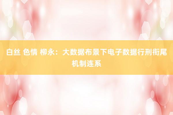 白丝 色情 柳永：大数据布景下电子数据行刑衔尾机制连系
