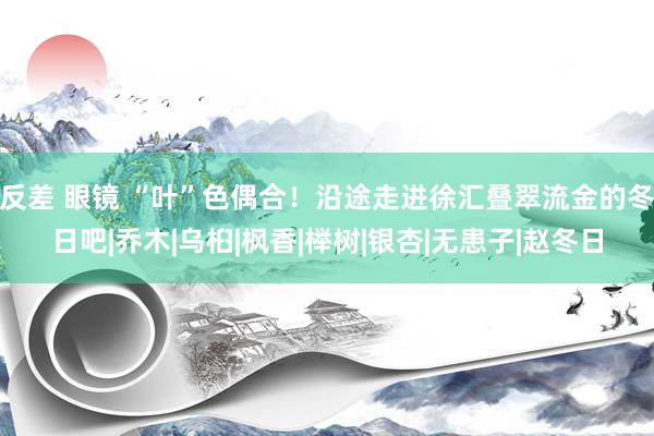 反差 眼镜 “叶”色偶合！沿途走进徐汇叠翠流金的冬日吧|乔木|乌桕|枫香|榉树|银杏|无患子|赵冬日