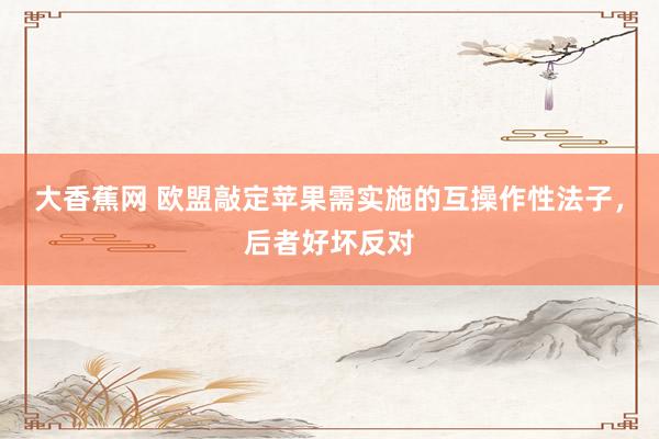 大香蕉网 欧盟敲定苹果需实施的互操作性法子，后者好坏反对