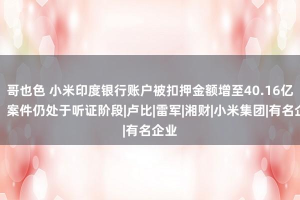 哥也色 小米印度银行账户被扣押金额增至40.16亿元，案件仍处于听证阶段|卢比|雷军|湘财|小米集团|有名企业