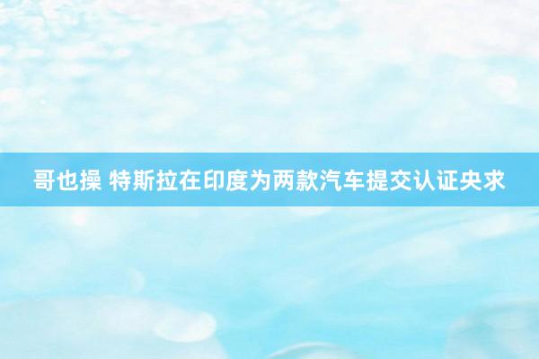 哥也操 特斯拉在印度为两款汽车提交认证央求