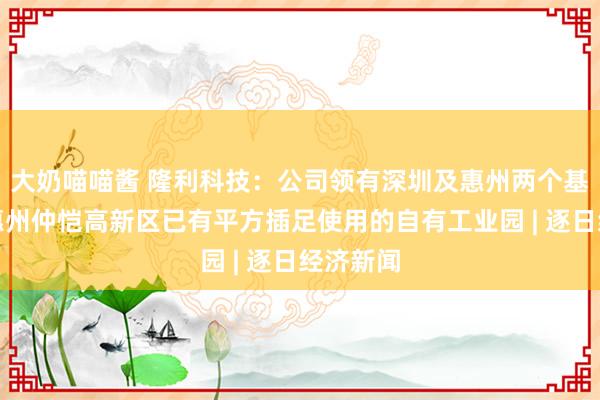 大奶喵喵酱 隆利科技：公司领有深圳及惠州两个基地，在惠州仲恺高新区已有平方插足使用的自有工业园 | 逐日经济新闻