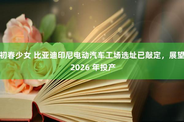 初春少女 比亚迪印尼电动汽车工场选址已敲定，展望 2026 年投产