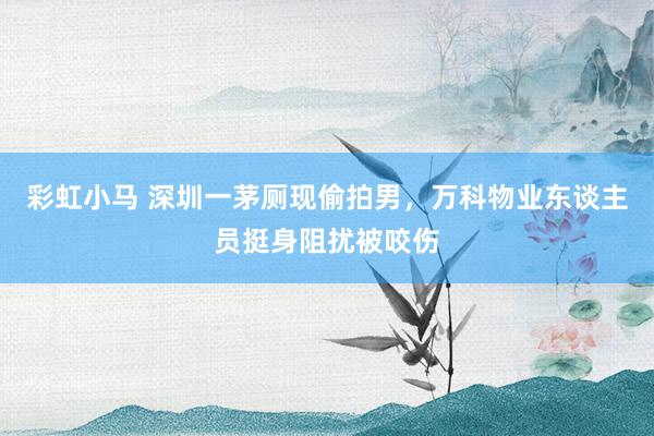 彩虹小马 深圳一茅厕现偷拍男，万科物业东谈主员挺身阻扰被咬伤