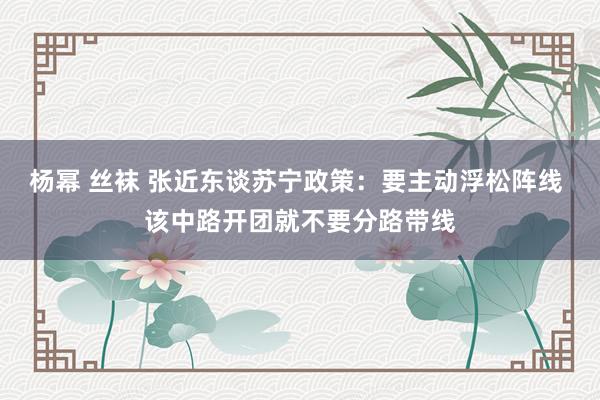杨幂 丝袜 张近东谈苏宁政策：要主动浮松阵线 该中路开团就不要分路带线