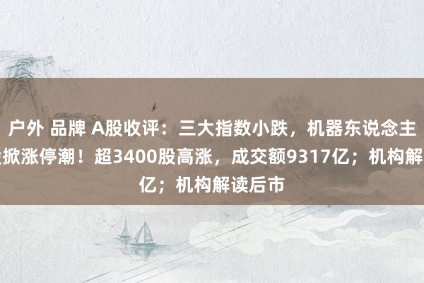 户外 品牌 A股收评：三大指数小跌，机器东说念主主见股掀涨停潮！超3400股高涨，成交额9317亿；机构解读后市