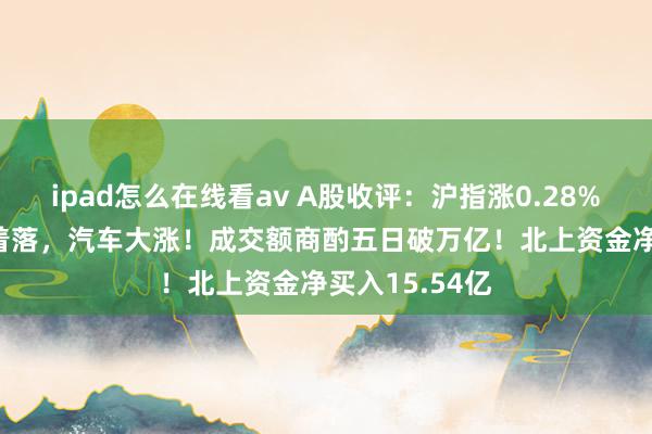 ipad怎么在线看av A股收评：沪指涨0.28%，超4300股着落，汽车大涨！成交额商酌五日破万亿！北上资金净买入15.54亿
