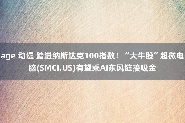 age 动漫 踏进纳斯达克100指数！“大牛股”超微电脑(SMCI.US)有望乘AI东风链接吸金