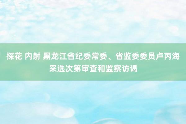探花 内射 黑龙江省纪委常委、省监委委员卢丙海采选次第审查和监察访谒