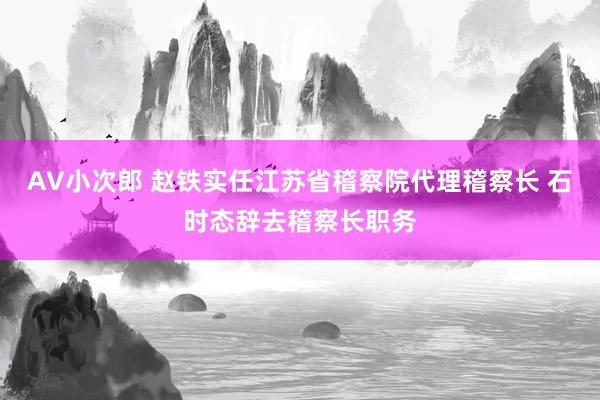 AV小次郎 赵铁实任江苏省稽察院代理稽察长 石时态辞去稽察长职务