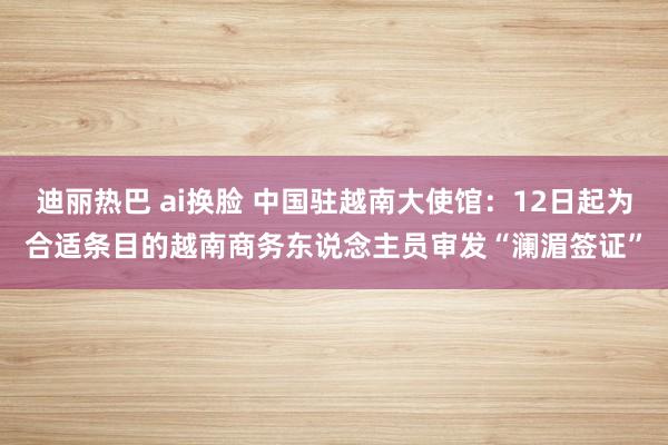 迪丽热巴 ai换脸 中国驻越南大使馆：12日起为合适条目的越南商务东说念主员审发“澜湄签证”