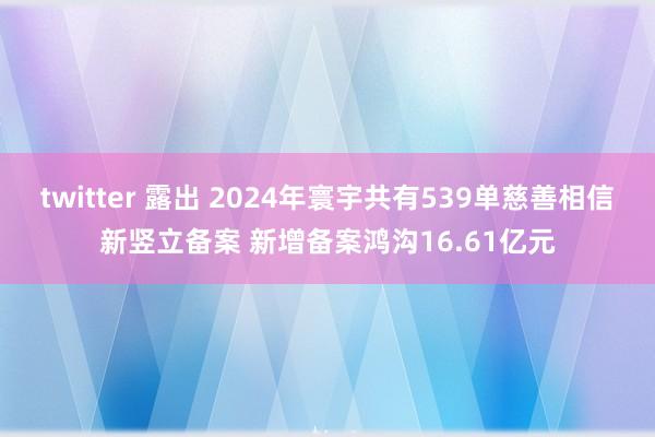 twitter 露出 2024年寰宇共有539单慈善相信新竖立备案 新增备案鸿沟16.61亿元