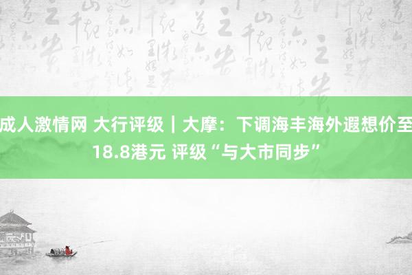 成人激情网 大行评级｜大摩：下调海丰海外遐想价至18.8港元 评级“与大市同步”