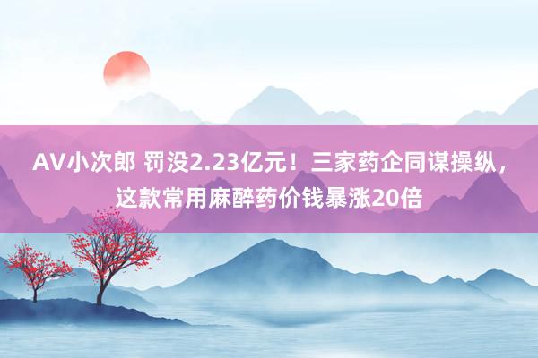AV小次郎 罚没2.23亿元！三家药企同谋操纵，这款常用麻醉药价钱暴涨20倍
